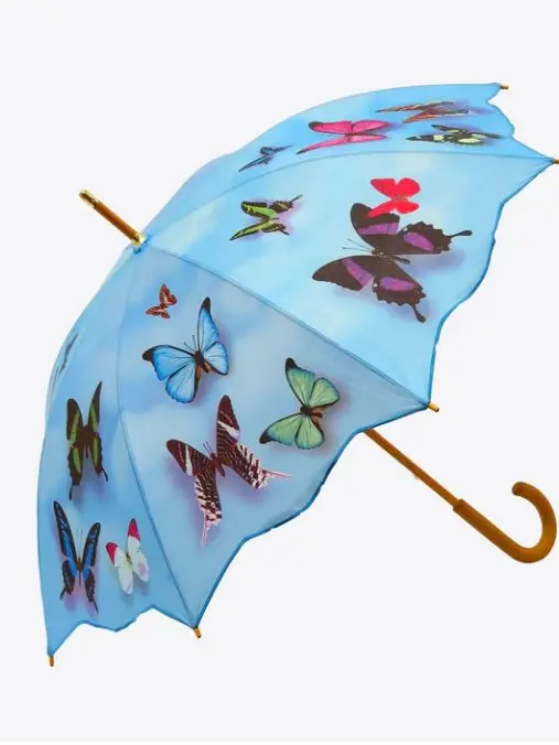 Butterfly umbrella