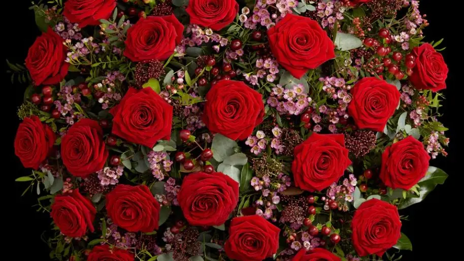 Valentine's Day red roses in Belgravia