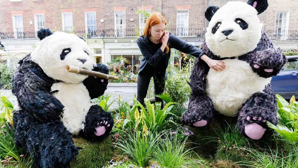 Belgravia In Bloom panda bear display