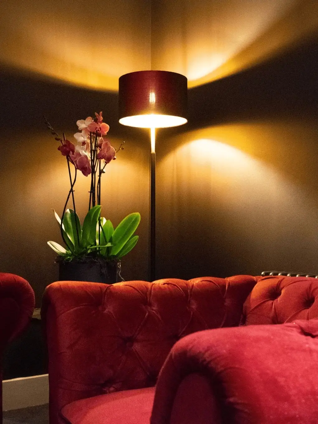 A red armchair with a lamp in the background