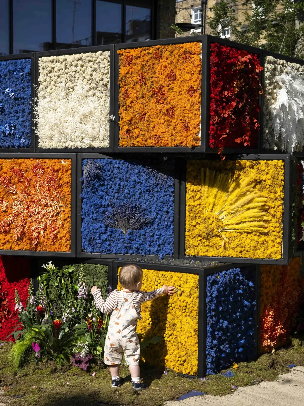 A toddler next to the Rubik's Cube floral display